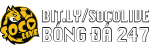 Báo Thể Thao Văn Hóa - xem bong truc tiep